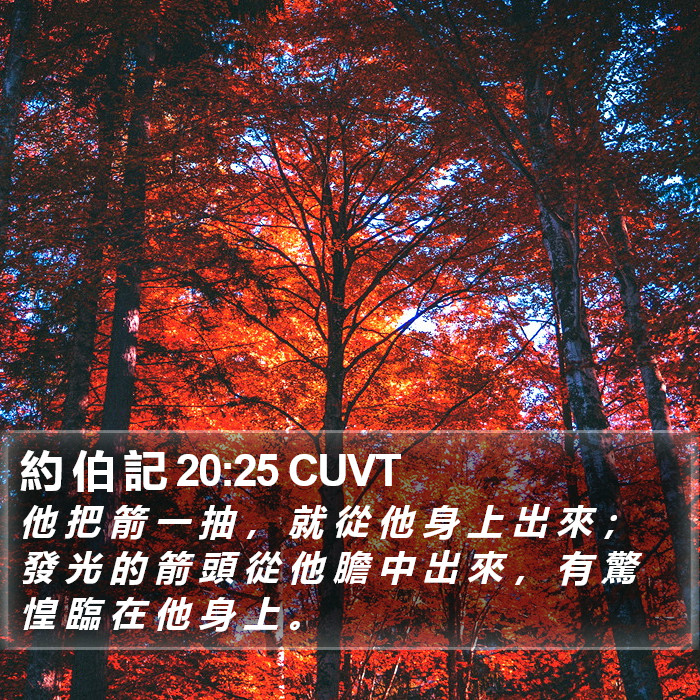 約 伯 記 20:25 CUVT Bible Study