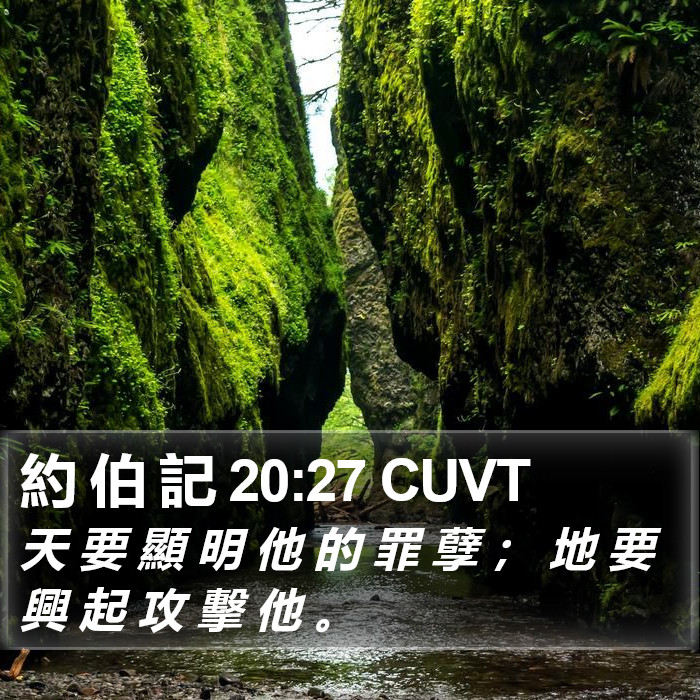 約 伯 記 20:27 CUVT Bible Study