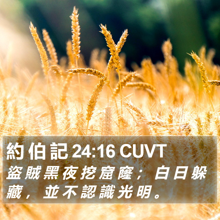 約 伯 記 24:16 CUVT Bible Study