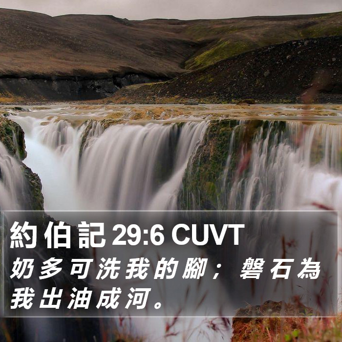 約 伯 記 29:6 CUVT Bible Study