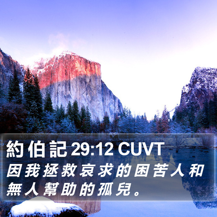 約 伯 記 29:12 CUVT Bible Study