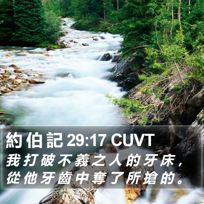 約 伯 記 29:17 CUVT Bible Study