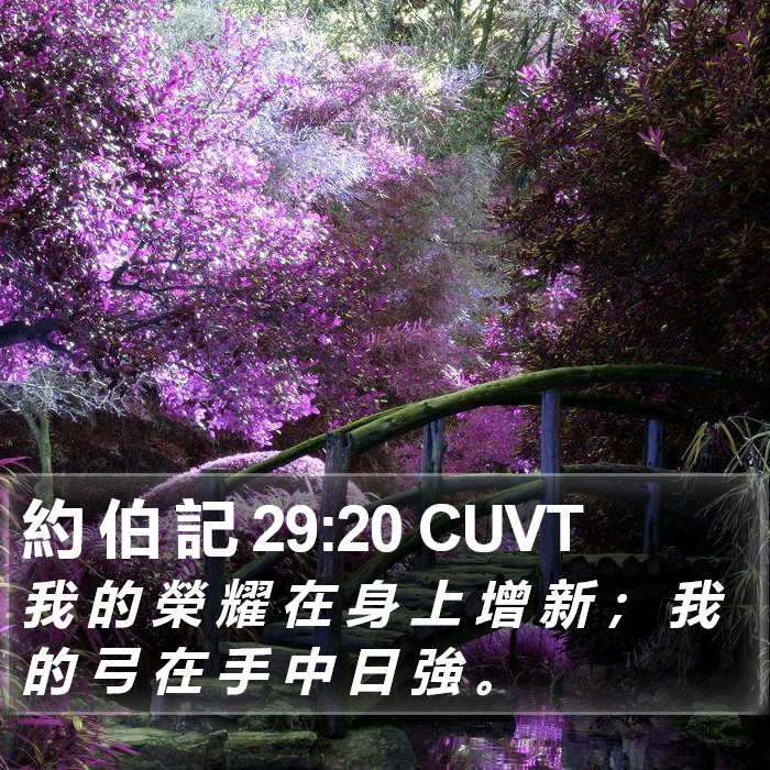 約 伯 記 29:20 CUVT Bible Study