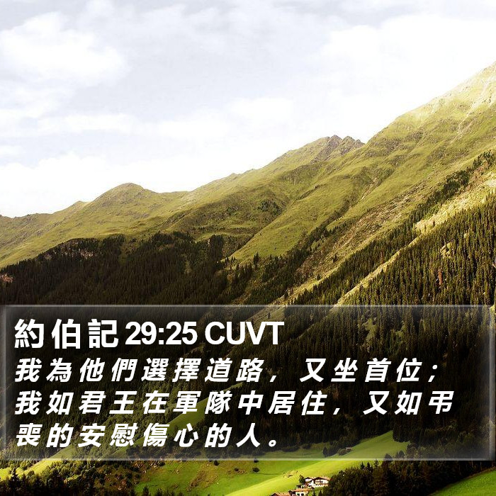 約 伯 記 29:25 CUVT Bible Study