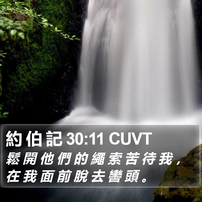 約 伯 記 30:11 CUVT Bible Study