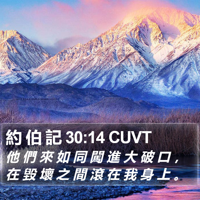 約 伯 記 30:14 CUVT Bible Study