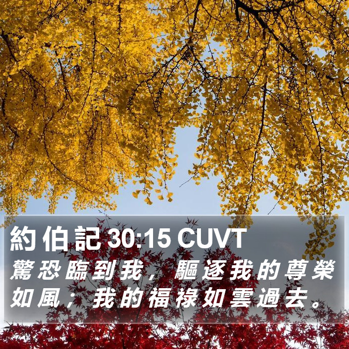 約 伯 記 30:15 CUVT Bible Study
