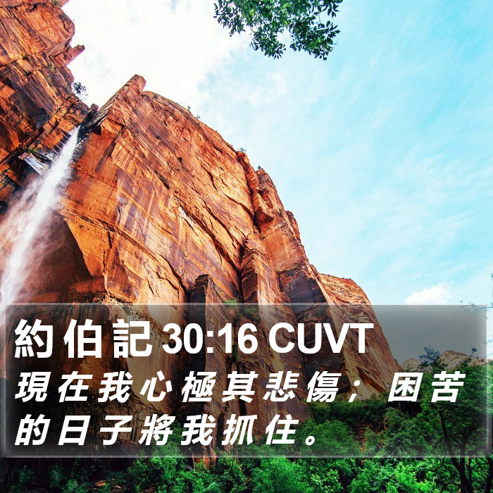 約 伯 記 30:16 CUVT Bible Study