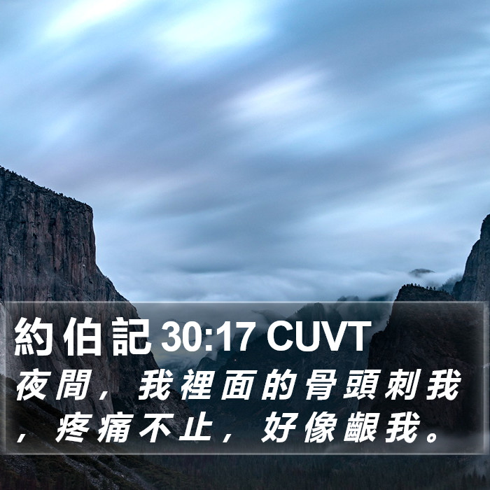 約 伯 記 30:17 CUVT Bible Study