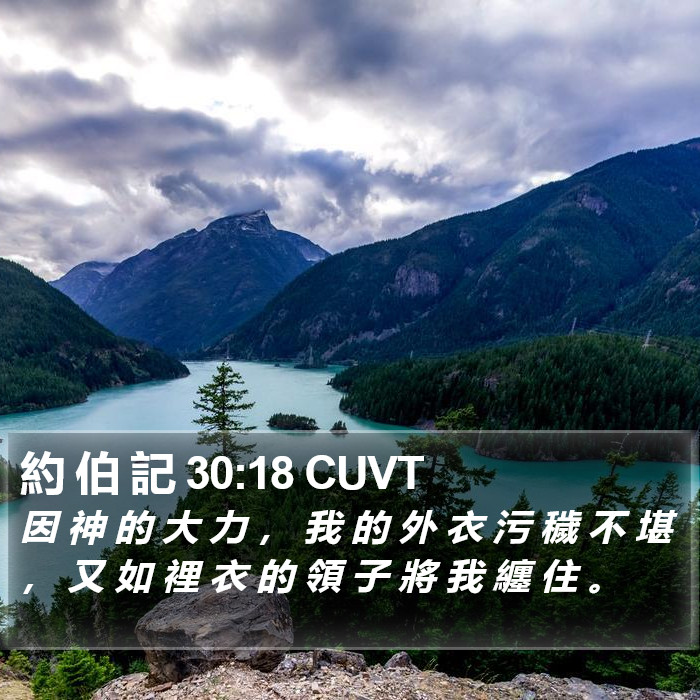 約 伯 記 30:18 CUVT Bible Study