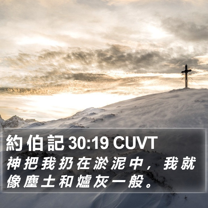 約 伯 記 30:19 CUVT Bible Study