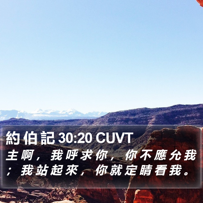 約 伯 記 30:20 CUVT Bible Study