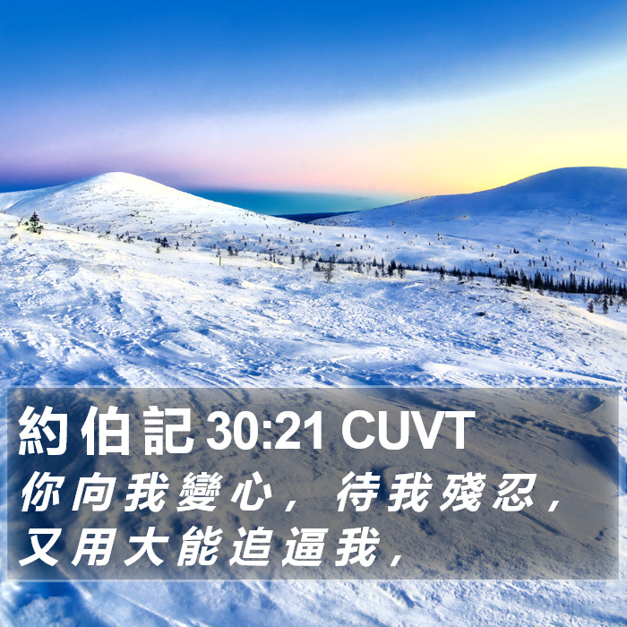 約 伯 記 30:21 CUVT Bible Study