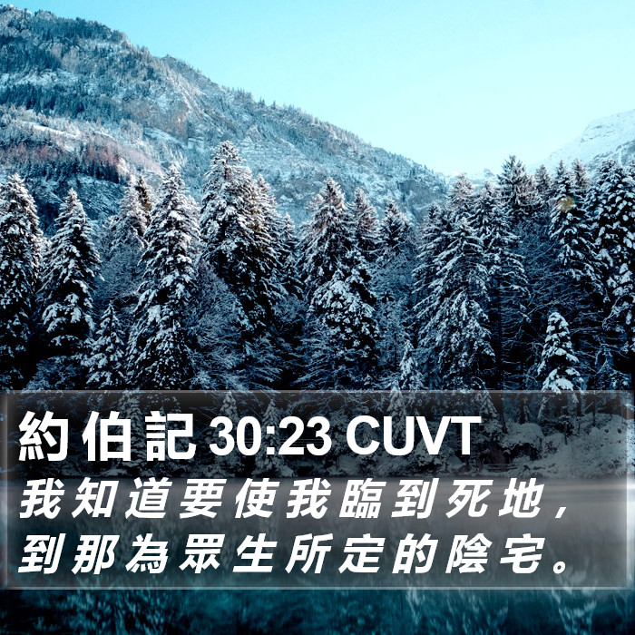 約 伯 記 30:23 CUVT Bible Study