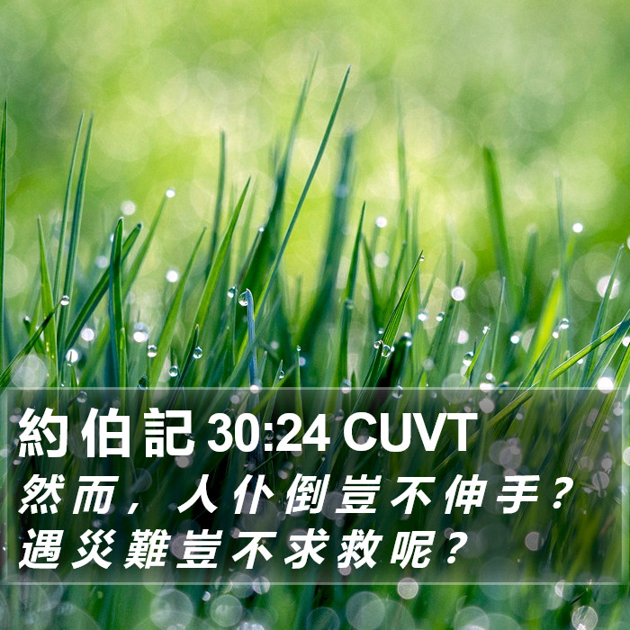 約 伯 記 30:24 CUVT Bible Study