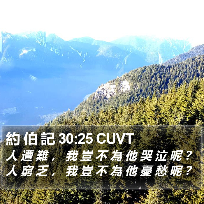 約 伯 記 30:25 CUVT Bible Study