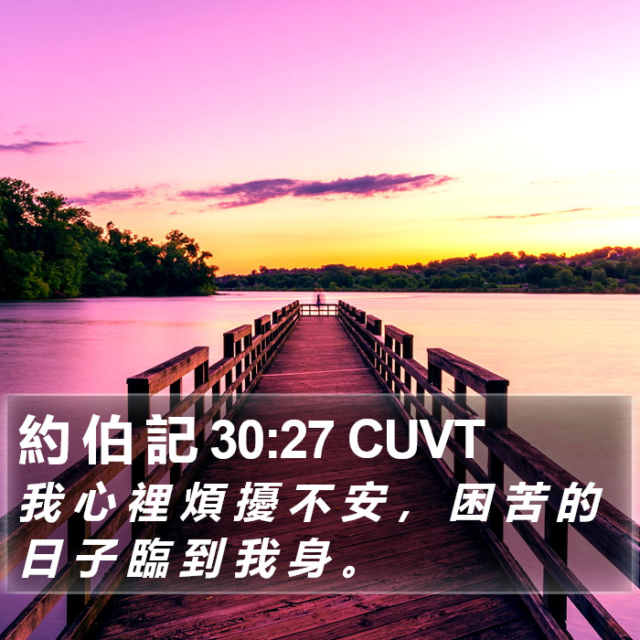 約 伯 記 30:27 CUVT Bible Study