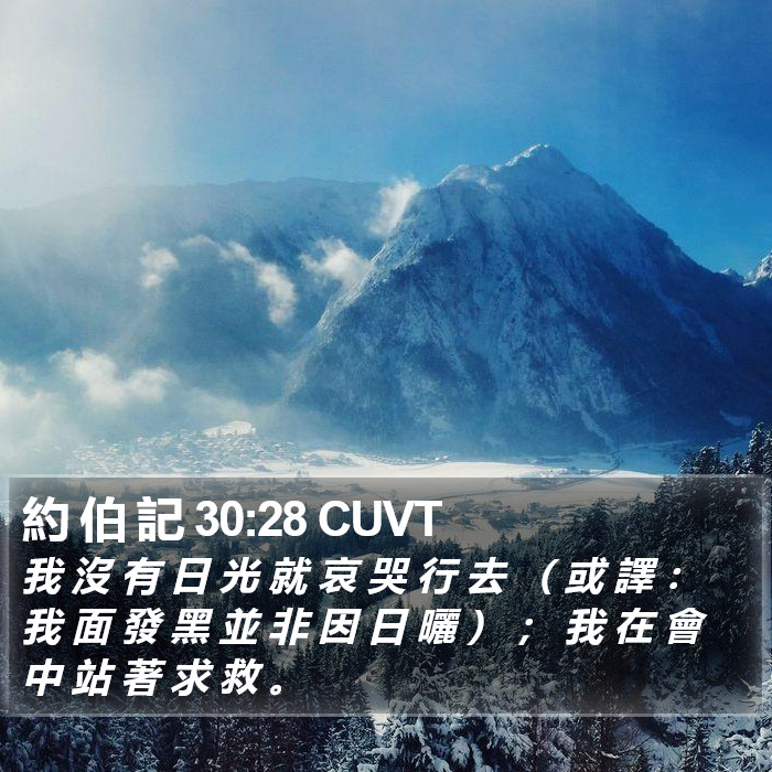 約 伯 記 30:28 CUVT Bible Study