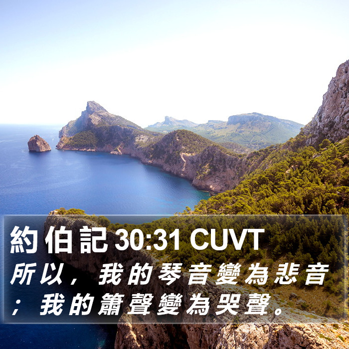 約 伯 記 30:31 CUVT Bible Study