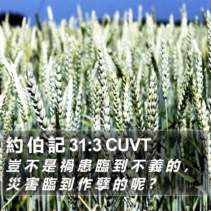 約 伯 記 31:3 CUVT Bible Study