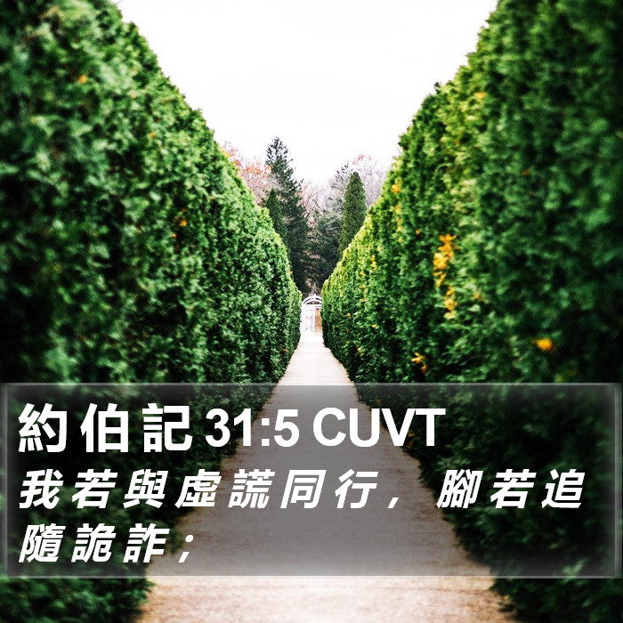 約 伯 記 31:5 CUVT Bible Study