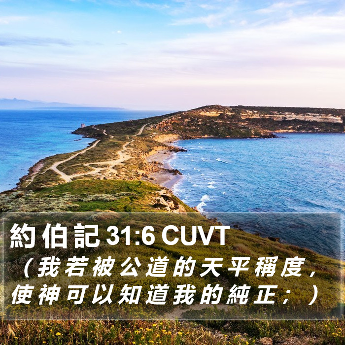 約 伯 記 31:6 CUVT Bible Study
