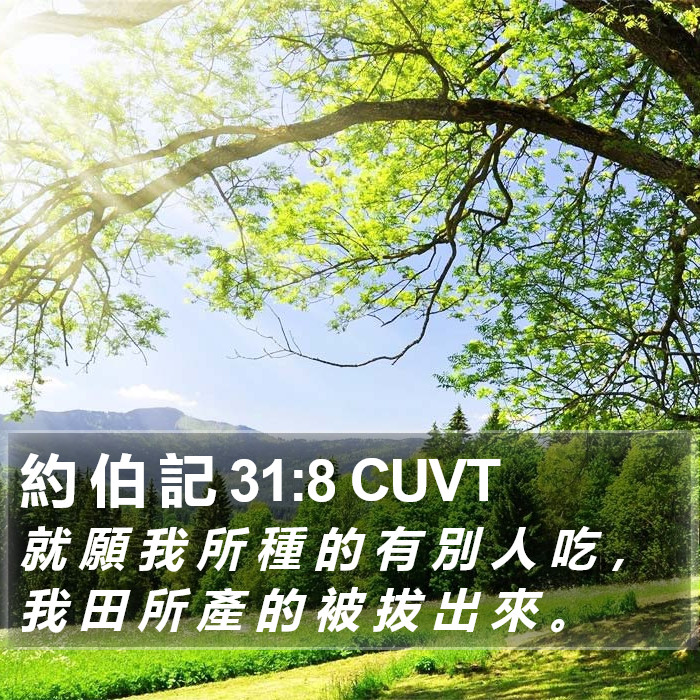 約 伯 記 31:8 CUVT Bible Study
