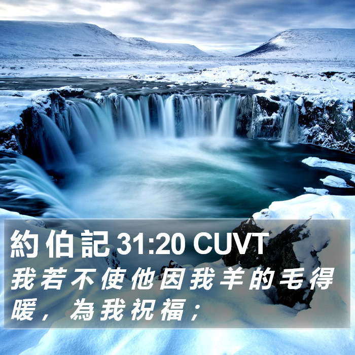 約 伯 記 31:20 CUVT Bible Study