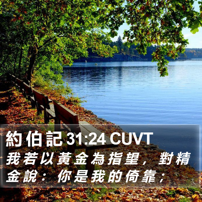 約 伯 記 31:24 CUVT Bible Study