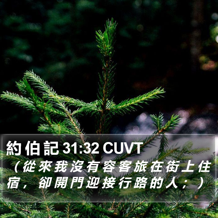 約 伯 記 31:32 CUVT Bible Study