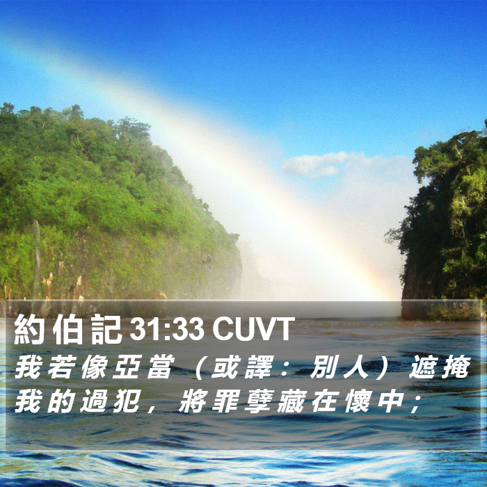 約 伯 記 31:33 CUVT Bible Study