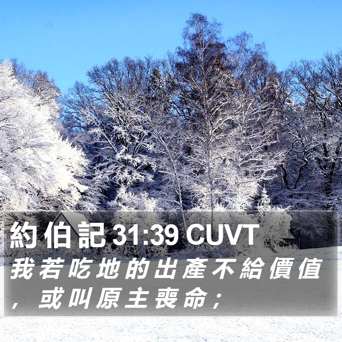 約 伯 記 31:39 CUVT Bible Study