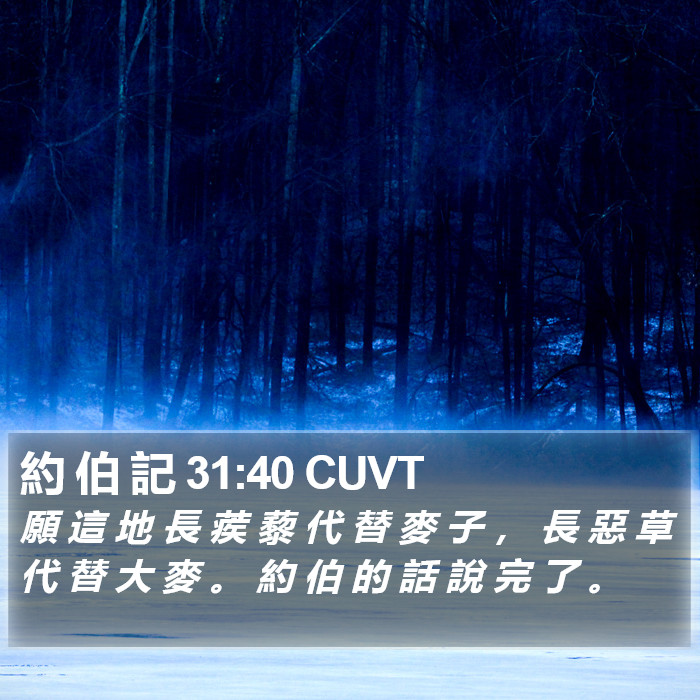 約 伯 記 31:40 CUVT Bible Study