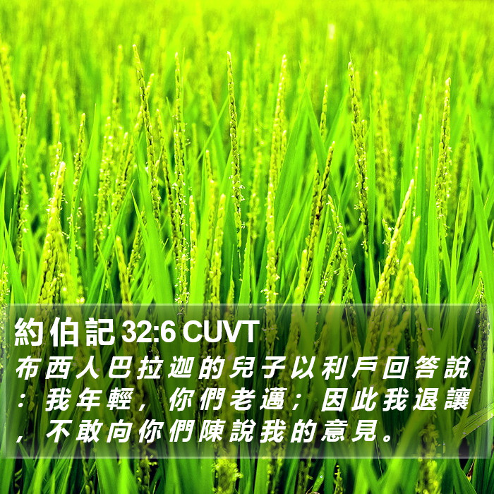 約 伯 記 32:6 CUVT Bible Study