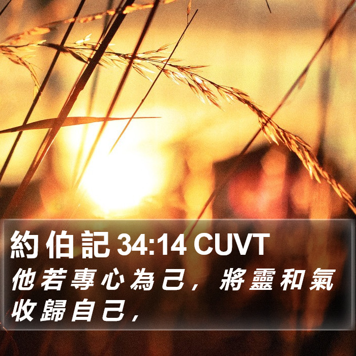 約 伯 記 34:14 CUVT Bible Study