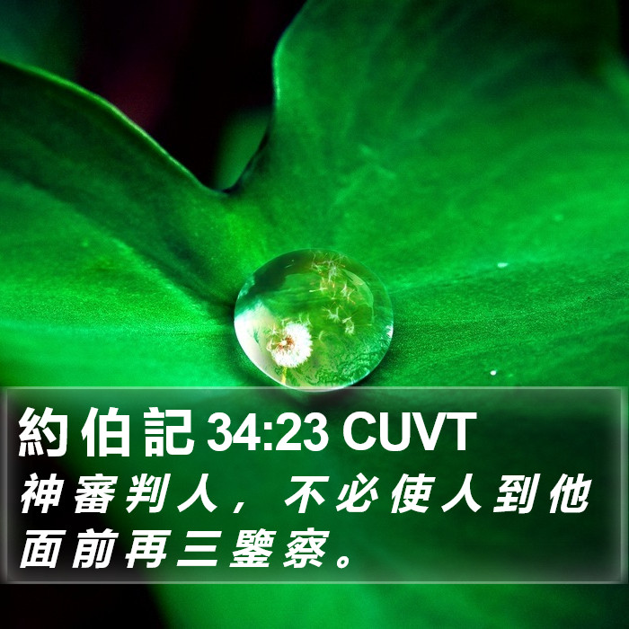 約 伯 記 34:23 CUVT Bible Study