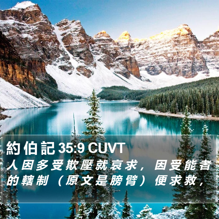 約 伯 記 35:9 CUVT Bible Study