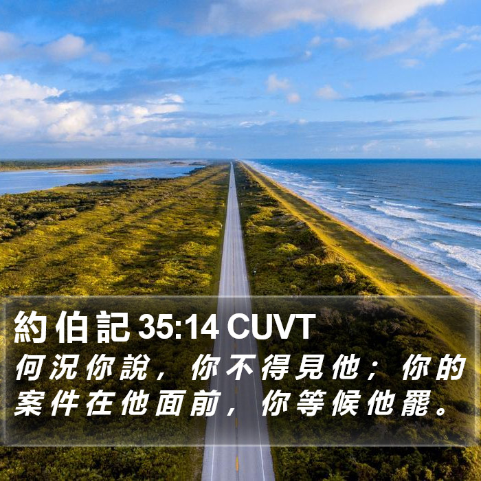 約 伯 記 35:14 CUVT Bible Study
