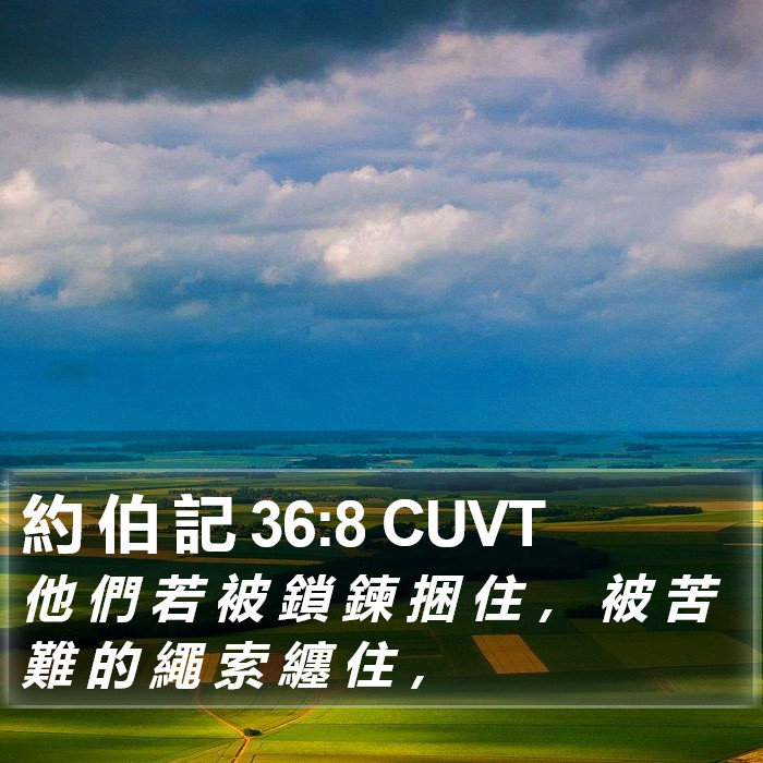 約 伯 記 36:8 CUVT Bible Study