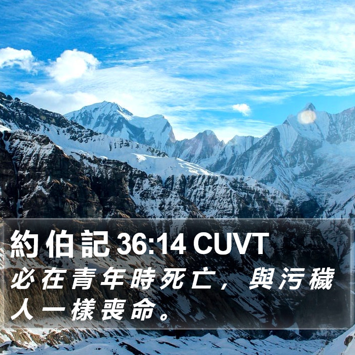 約 伯 記 36:14 CUVT Bible Study