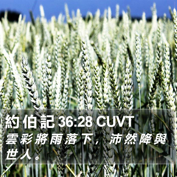 約 伯 記 36:28 CUVT Bible Study