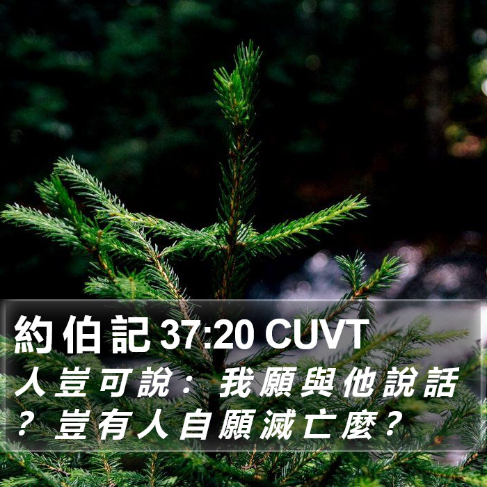 約 伯 記 37:20 CUVT Bible Study