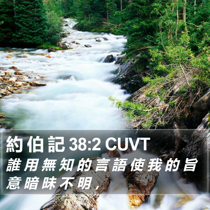 約 伯 記 38:2 CUVT Bible Study
