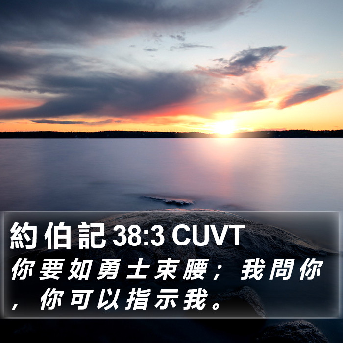 約 伯 記 38:3 CUVT Bible Study