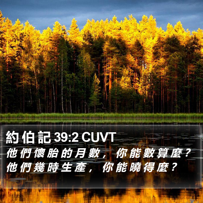 約 伯 記 39:2 CUVT Bible Study