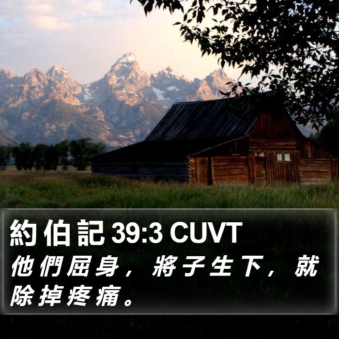 約 伯 記 39:3 CUVT Bible Study