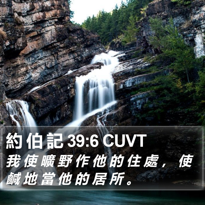 約 伯 記 39:6 CUVT Bible Study