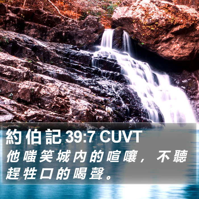 約 伯 記 39:7 CUVT Bible Study