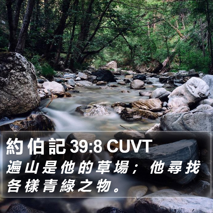 約 伯 記 39:8 CUVT Bible Study