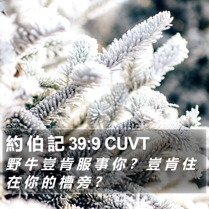 約 伯 記 39:9 CUVT Bible Study